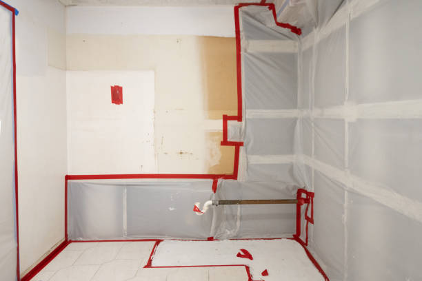 Best Basement Mold Removal  in Bingham Farms, MI